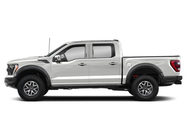 2022 Ford F-150 Raptor Winder GA
