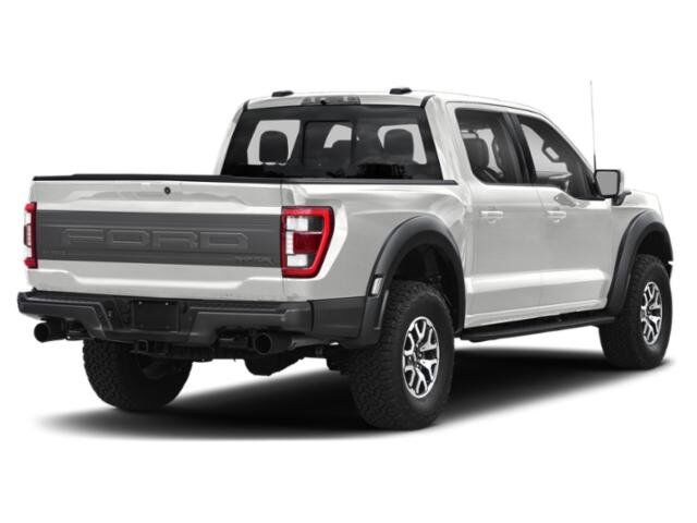 2022 Ford F-150 Raptor Winder GA