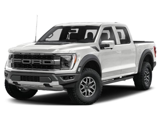 2022 Ford F-150 Raptor Winder GA