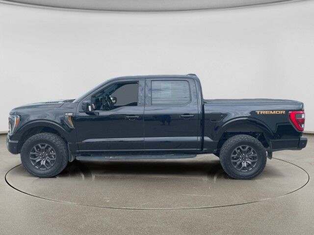2022 Ford F-150 Tremor