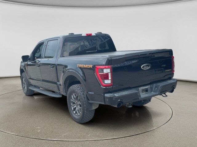 2022 Ford F-150 Tremor
