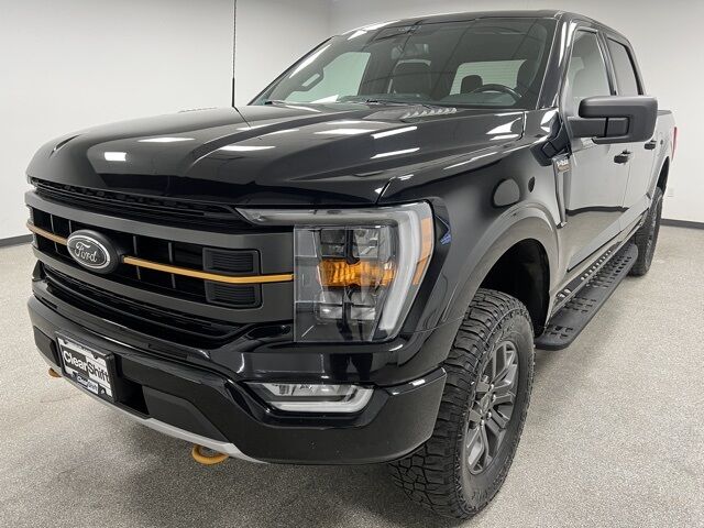 2022 Ford F-150 Tremor photo 2