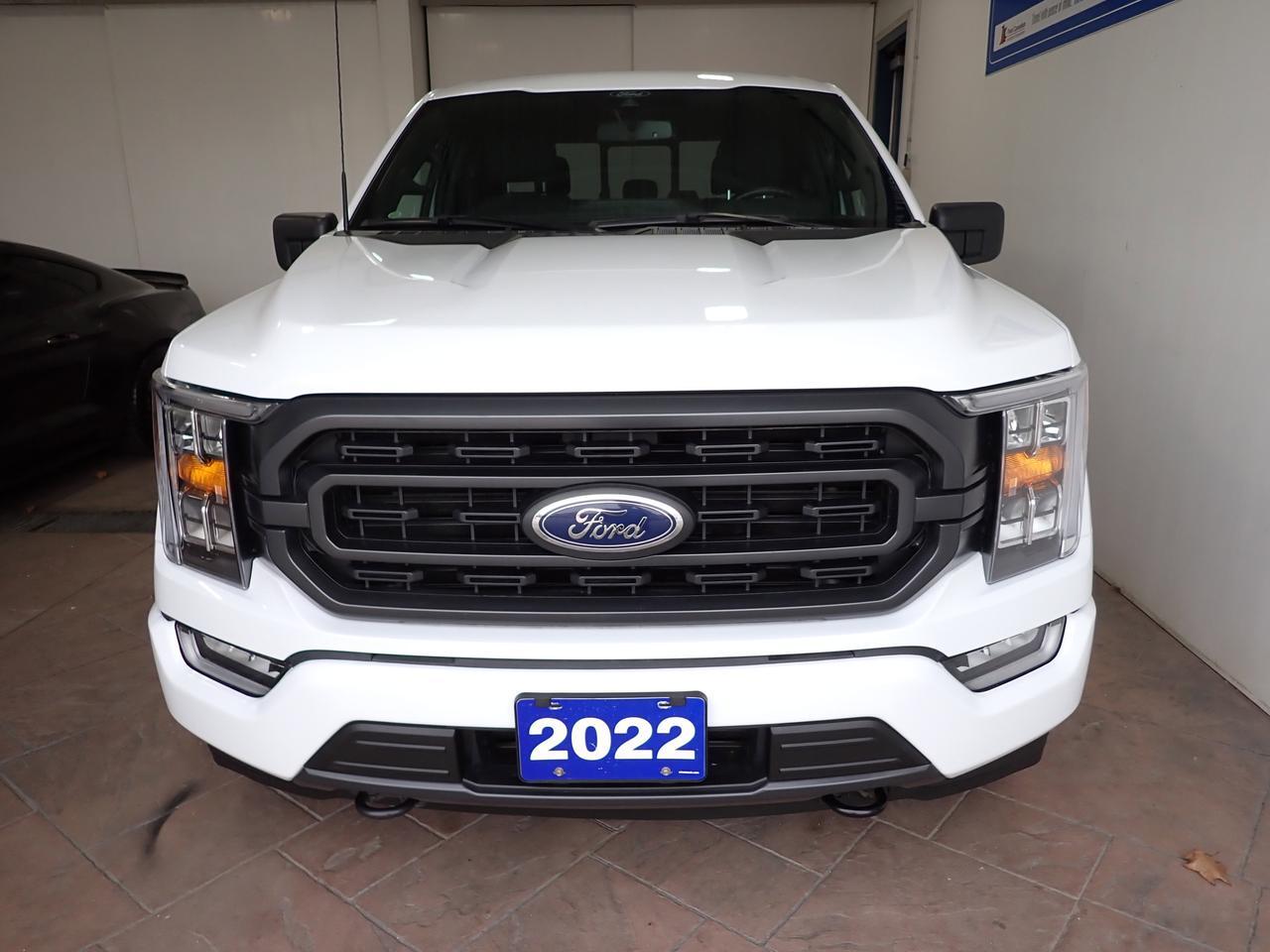 2022 Ford F-150 XLT 4WD SUPERCREW 5.5 BOX Listowel ON