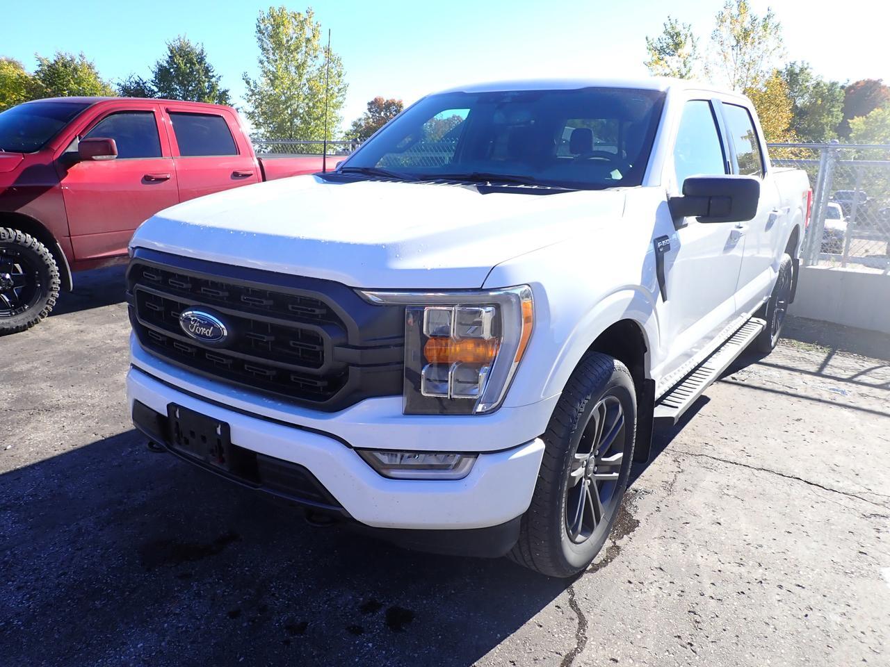 2022 Ford F-150 XLT 4WD SUPERCREW 5.5 BOX Listowel ON
