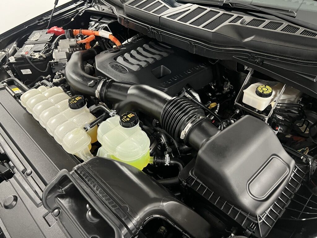 2022 Ford F-150 XLT Loveland CO