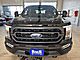 2022 Ford F-150 XLT Milwaukee WI