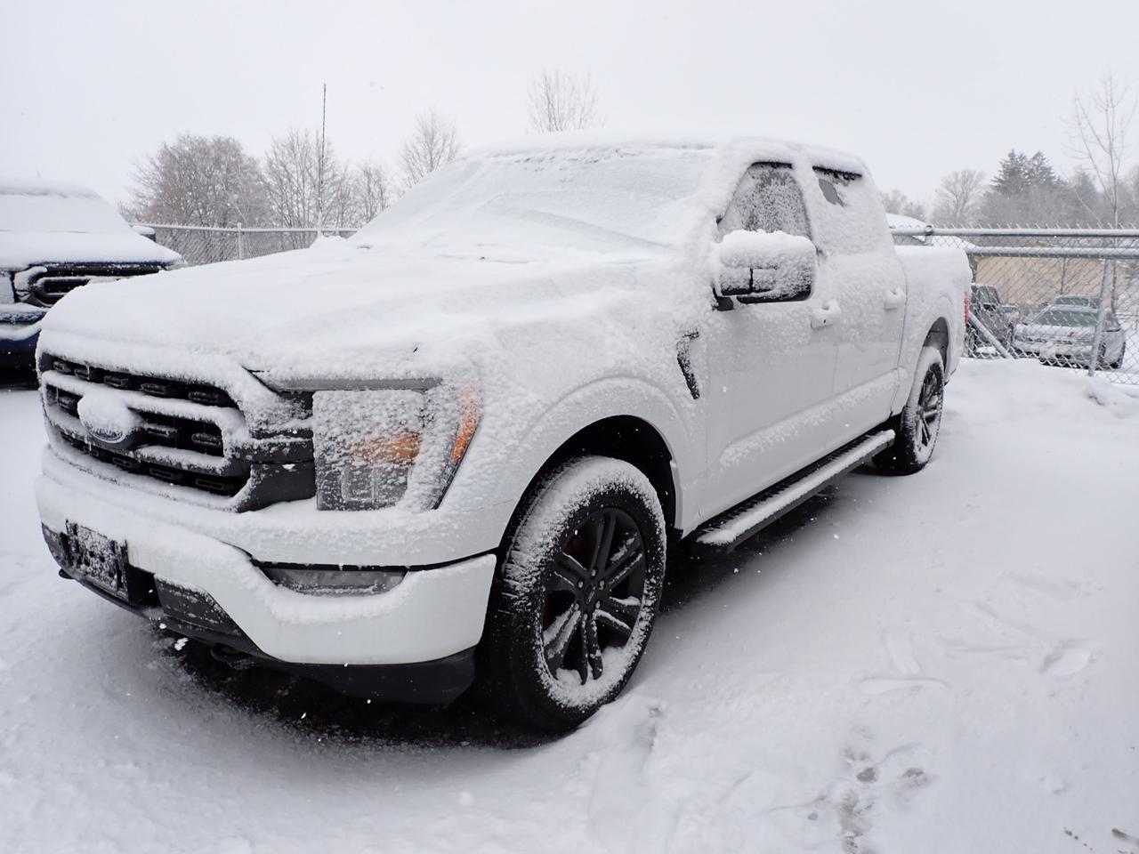 2022 Ford F-150 XLT SPORT CREW 4WD Listowel ON