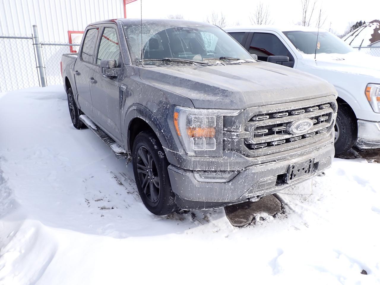 2022 Ford F-150 XLT SPORT CREW CAB 4WD
