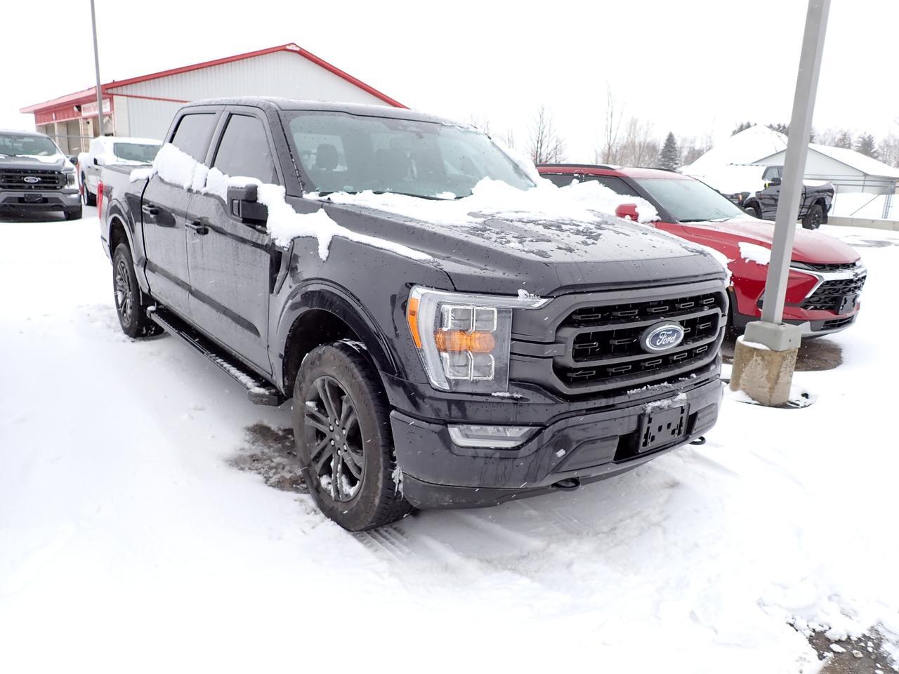 2022 Ford F-150 XLT SPORT SUNROOF 5'5 BOX 4WD CREW CAB