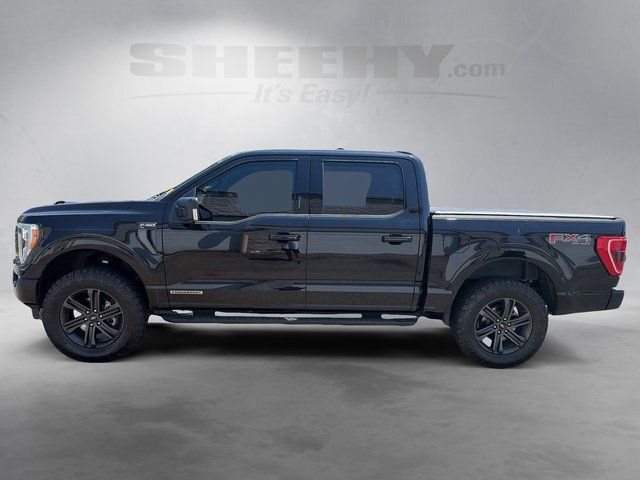 2022 Ford F-150 XLT Ashland VA