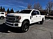 2022 Ford F-250 Platinum