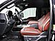2022 Ford F-250SD 4x4 Crew Cab Platinum Fond du Lac WI
