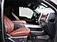 2022 Ford F-250SD 4x4 Crew Cab Platinum Fond du Lac WI