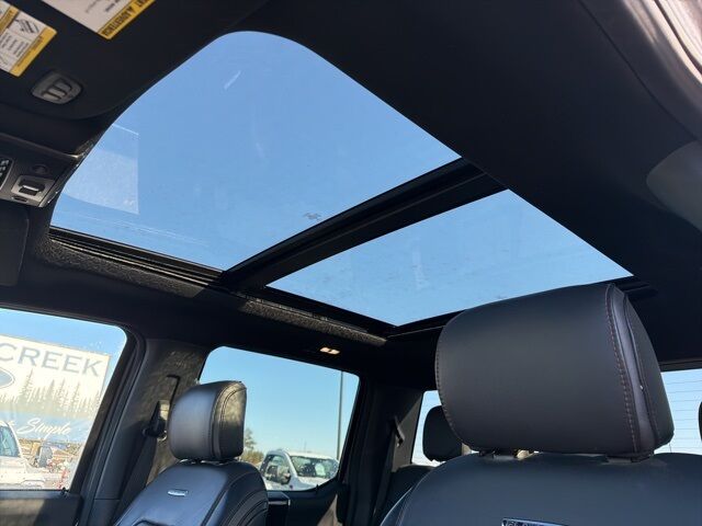 2022 Ford F-350SD Platinum Pine River MN