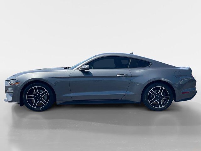 2022 Ford Mustang Oak Ridge TN