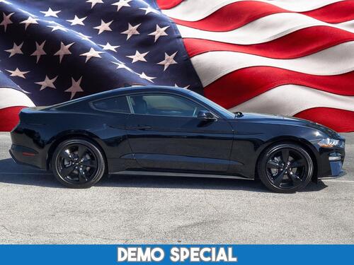 2022 Ford Mustang Tampa FL 2022 Ford Mustang Tampa FL