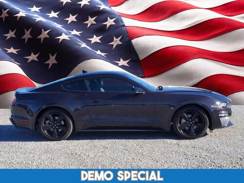 2022 Ford Mustang Tampa FL 2022 Ford Mustang Tampa FL