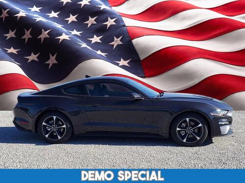 2022 Ford Mustang Tampa FL 2022 Ford Mustang Tampa FL