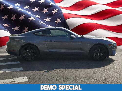 2022 Ford Mustang Tampa FL 2022 Ford Mustang Tampa FL