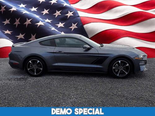 2022 Ford Mustang Tampa FL 2022 Ford Mustang Tampa FL