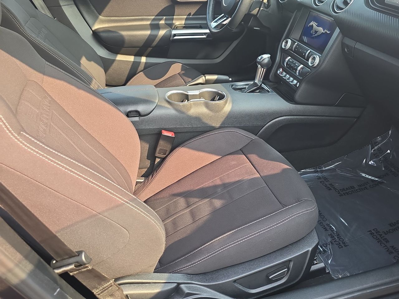 2022 Ford Mustang EcoBoost Columbus OH