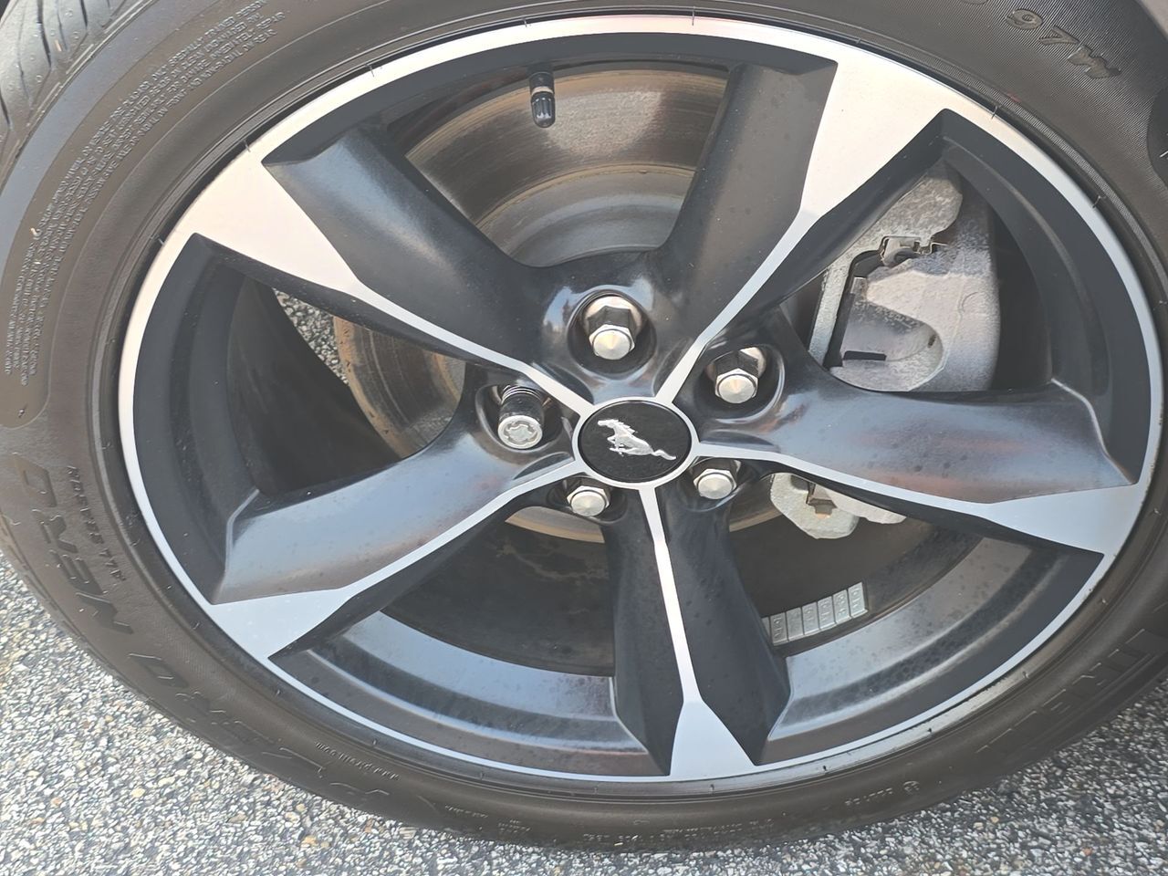 2022 Ford Mustang EcoBoost Columbus OH