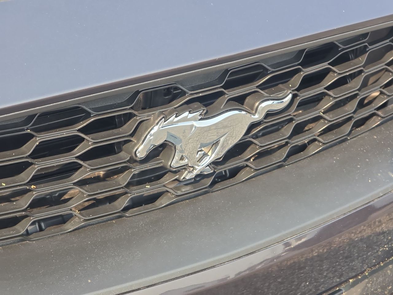 2022 Ford Mustang EcoBoost Columbus OH