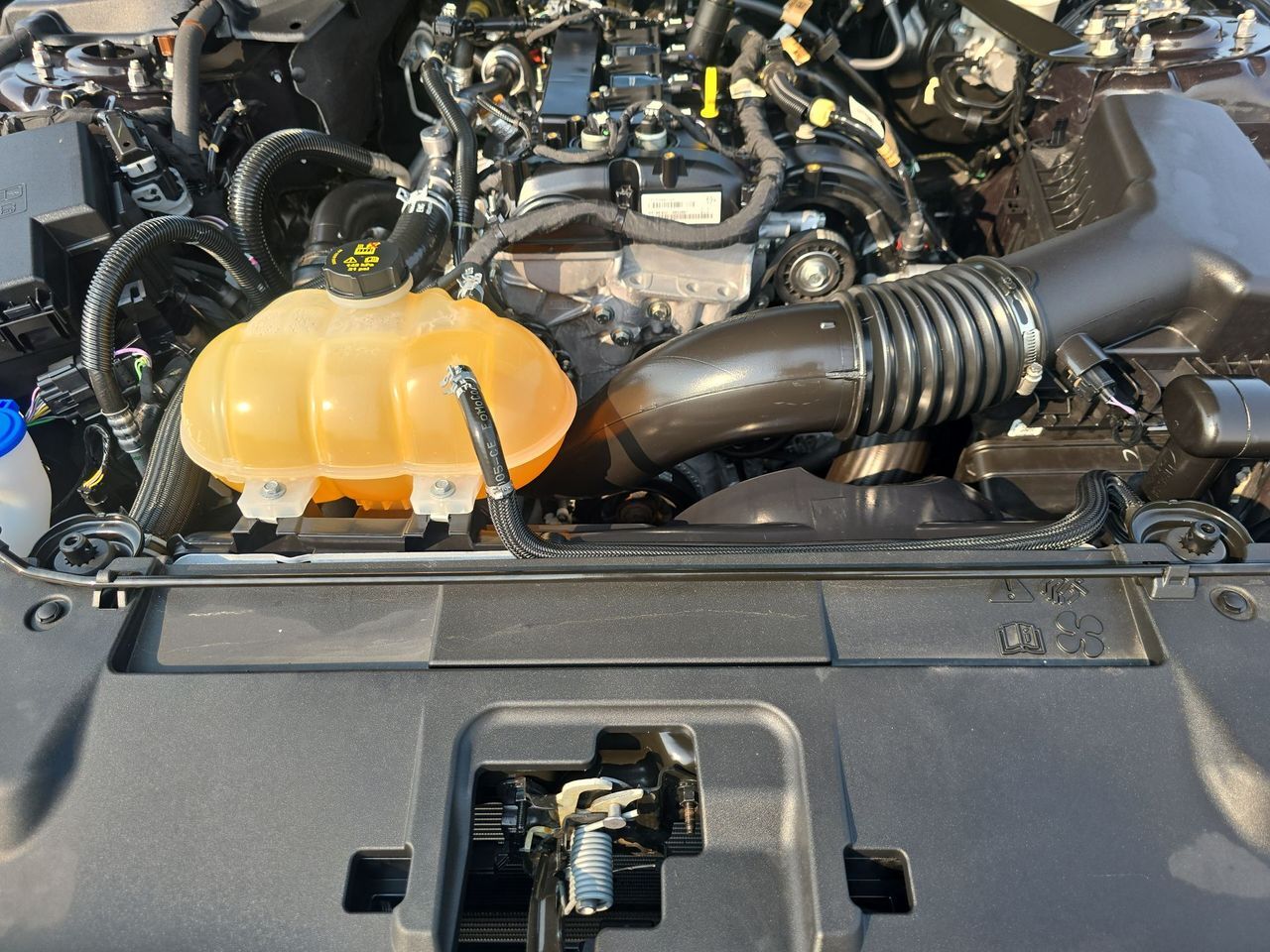 2022 Ford Mustang EcoBoost Columbus OH