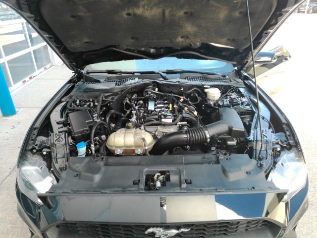 2022 Ford Mustang EcoBoost Fastback Plano TX