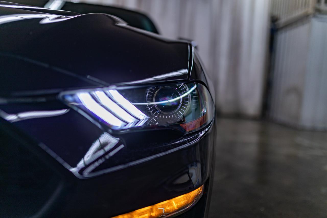 2022 Ford Mustang EcoBoost Manual BCam Red Deer AB