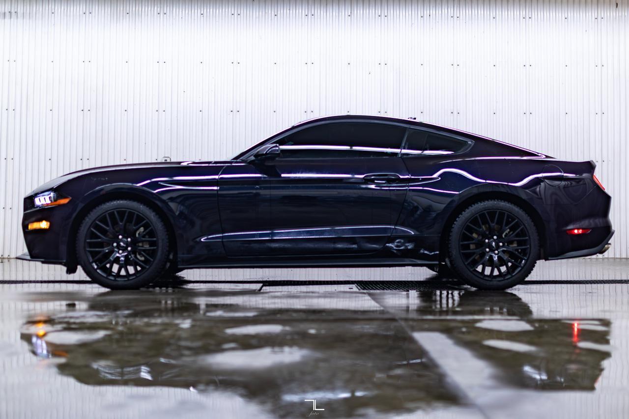 2022 Ford Mustang EcoBoost Manual BCam Red Deer AB