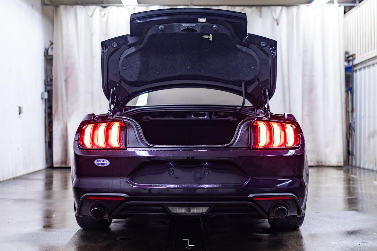 2022 Ford Mustang EcoBoost Manual BCam Red Deer AB