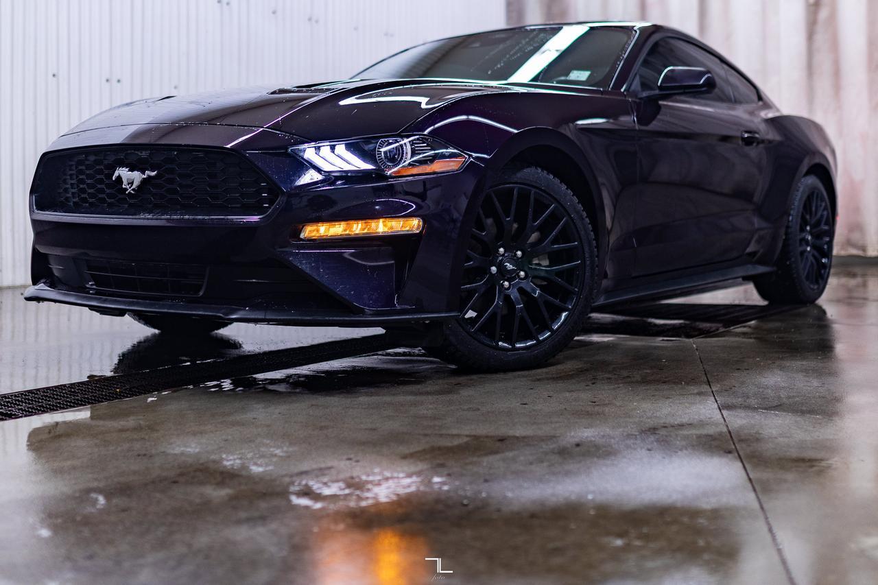 2022 Ford Mustang EcoBoost Manual BCam Red Deer AB