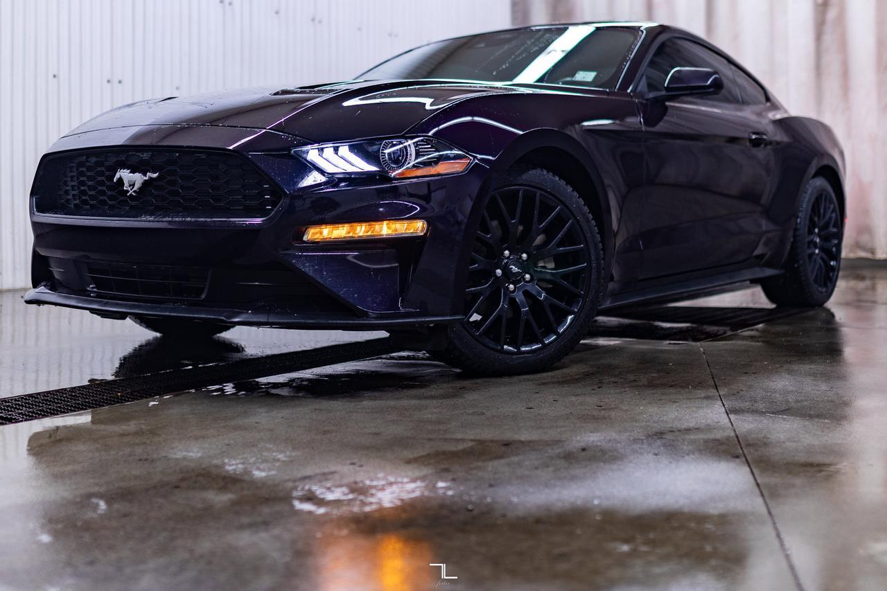 2022 Ford Mustang EcoBoost Manual BCam Red Deer AB