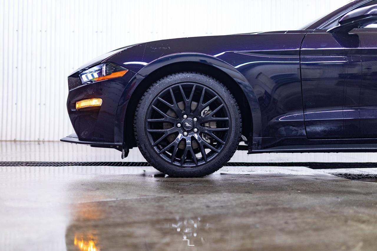 2022 Ford Mustang EcoBoost Manual BCam Red Deer AB