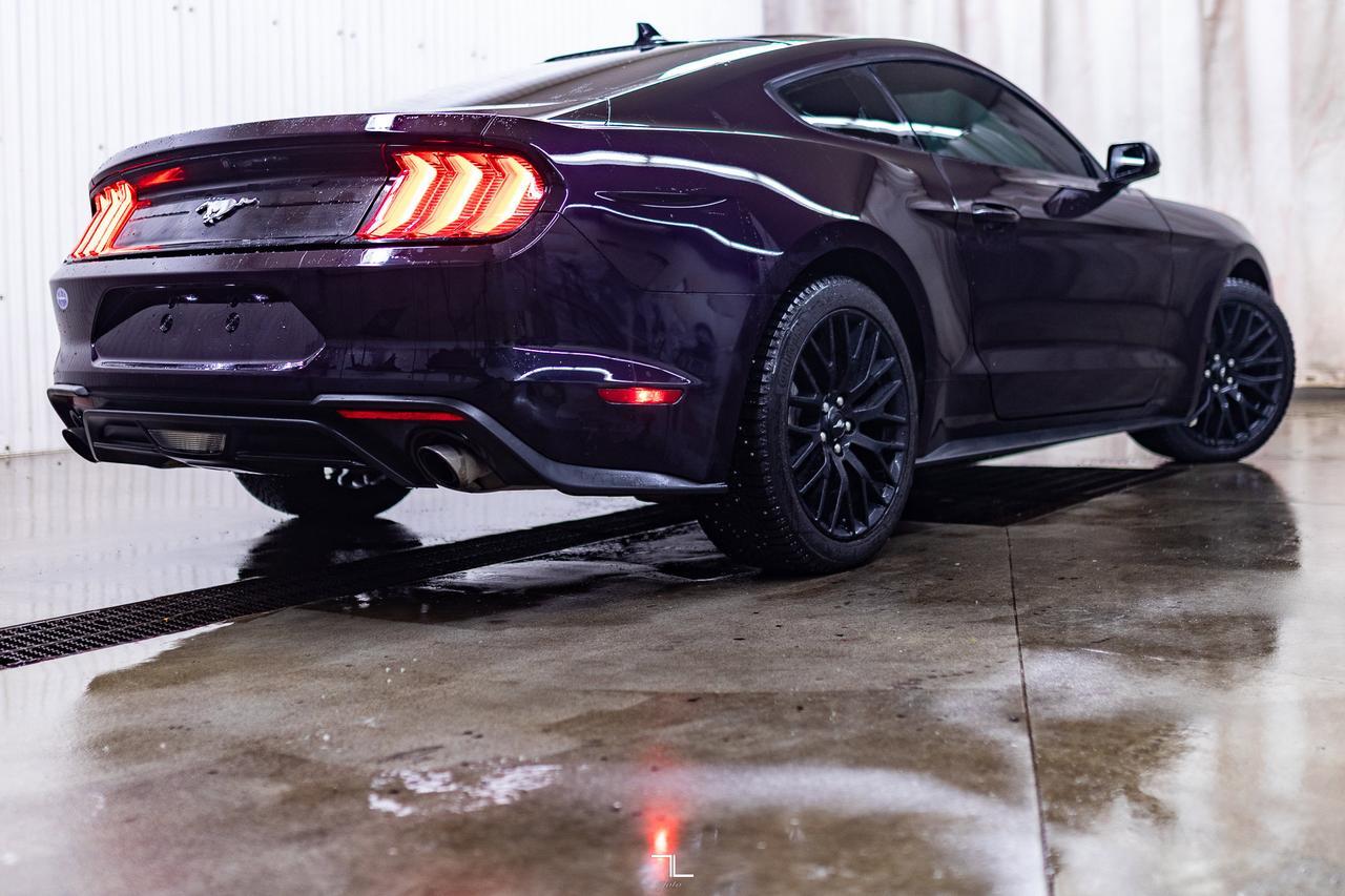 2022 Ford Mustang EcoBoost Manual BCam Red Deer AB