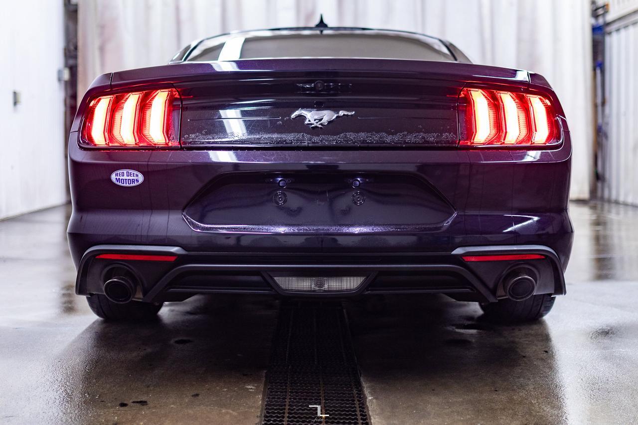 2022 Ford Mustang EcoBoost Manual BCam Red Deer AB