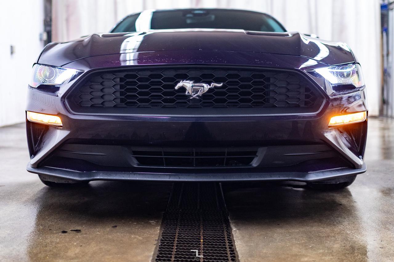 2022 Ford Mustang EcoBoost Manual BCam Red Deer AB