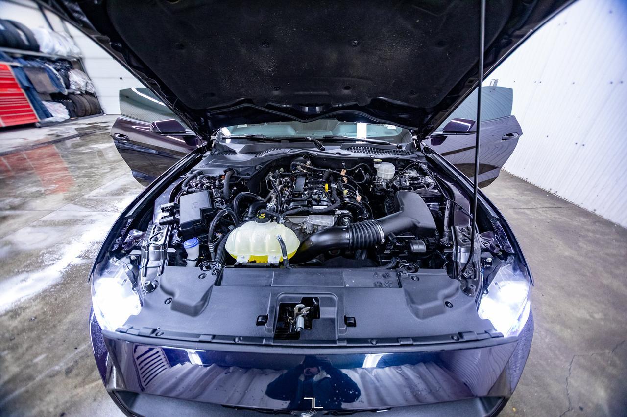 2022 Ford Mustang EcoBoost Manual BCam Red Deer AB