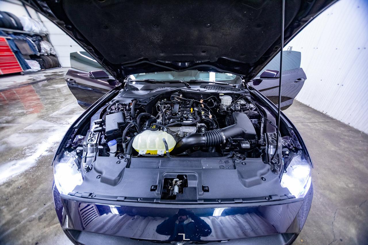 2022 Ford Mustang EcoBoost Manual BCam Red Deer AB