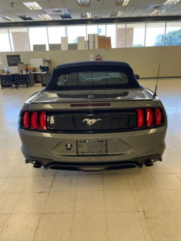2022 Ford Mustang EcoBoost Premium Convertible Dallas NC