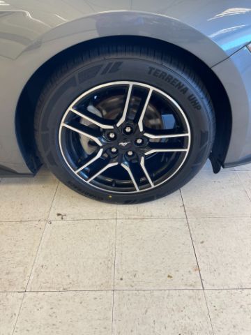 2022 Ford Mustang EcoBoost Premium Convertible Dallas NC