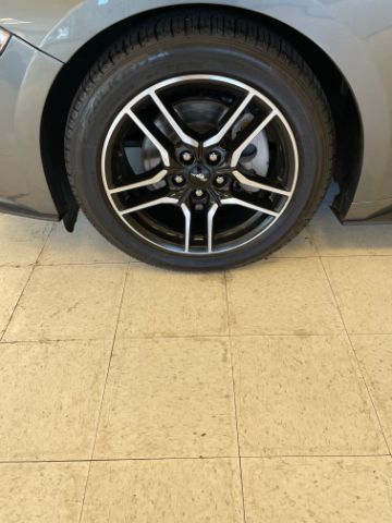 2022 Ford Mustang EcoBoost Premium Convertible Dallas NC