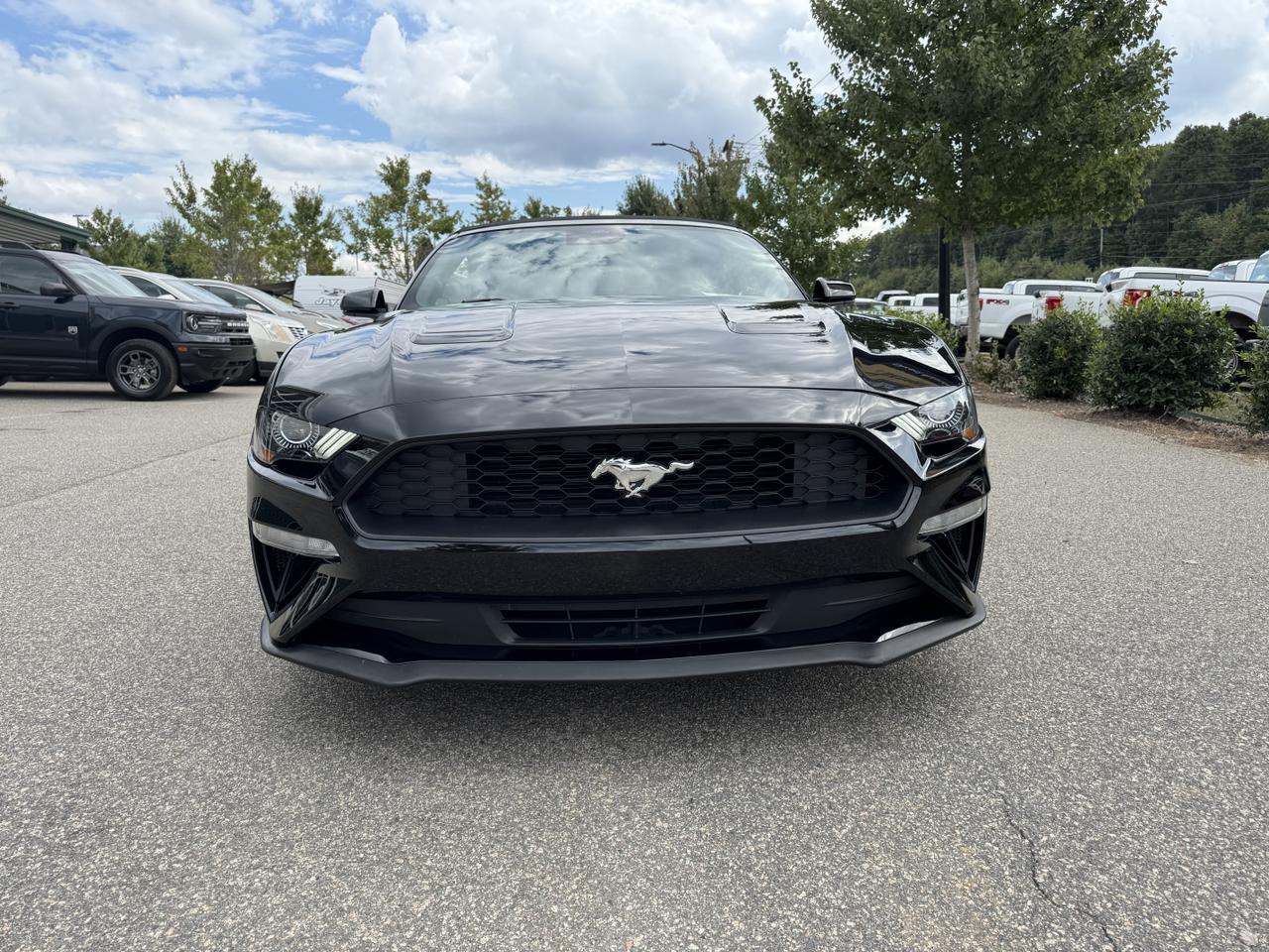 2022 Ford Mustang EcoBoost Premium Convertible Monroe NC