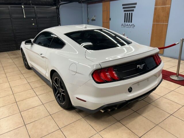 2022 Ford Mustang EcoBoost Premium Fastback Charlotte NC