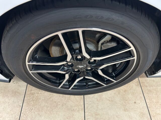 2022 Ford Mustang EcoBoost Premium Fastback Charlotte NC