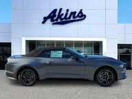 2022 Ford Mustang EcoBoost Premium Winder GA 2022 Ford Mustang EcoBoost Premium Winder GA