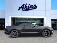 2022 Ford Mustang EcoBoost Premium Winder GA 2022 Ford Mustang EcoBoost Premium Winder GA