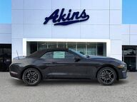 2022 Ford Mustang EcoBoost Premium Winder GA 2022 Ford Mustang EcoBoost Premium Winder GA