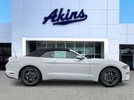 2022 Ford Mustang EcoBoost Premium Winder GA 2022 Ford Mustang EcoBoost Premium Winder GA
